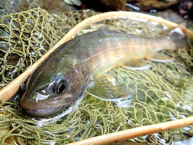 c0339900_8384033.jpg