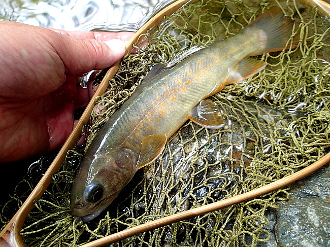c0339900_8391683.jpg