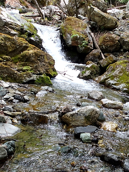 c0339900_96496.jpg