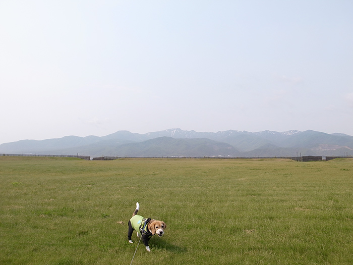 d0256800_11335611.jpg