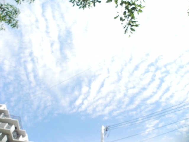 c0152002_21382233.jpg