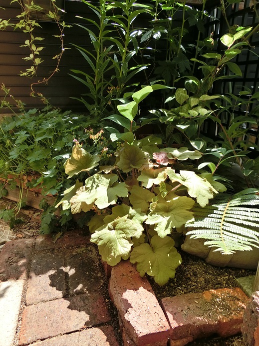 e0234004_17562590.jpg