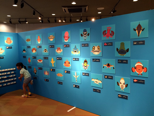「さかなのかおとかたち展」始まりました_f0292806_17515340.jpg