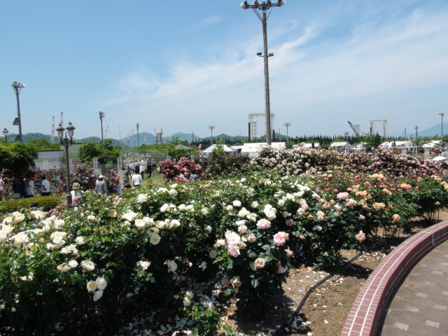f0231709_00588.jpg