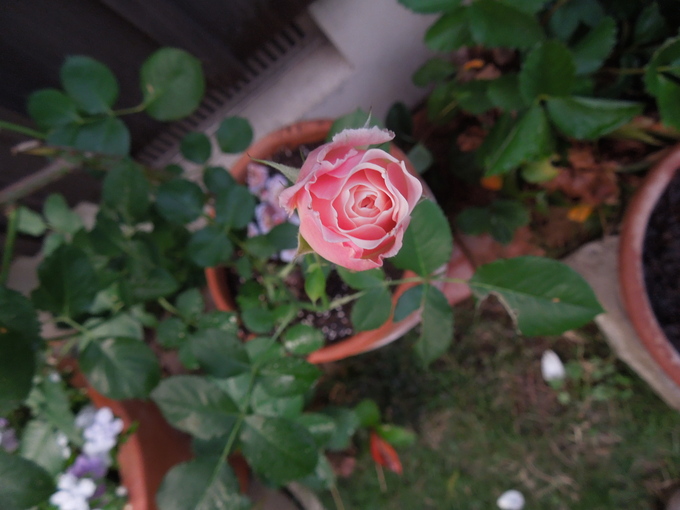 f0297809_2122176.jpg