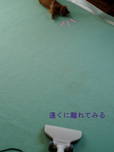 b0200310_10382357.jpg