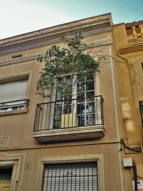 b0064411_08251492.jpg