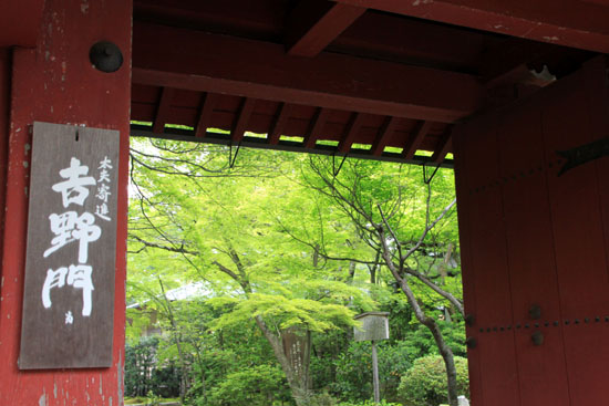青もみじ 常徳寺_e0048413_18471530.jpg