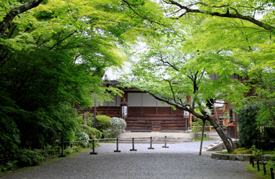 青もみじ 常徳寺_e0048413_18472877.jpg