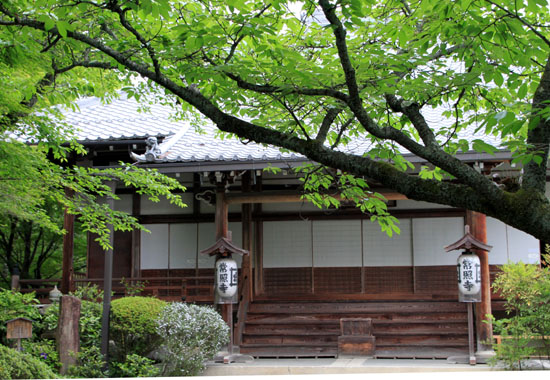 青もみじ 常徳寺_e0048413_18474069.jpg