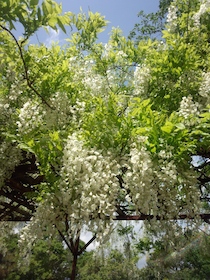 a0031714_17405946.jpg