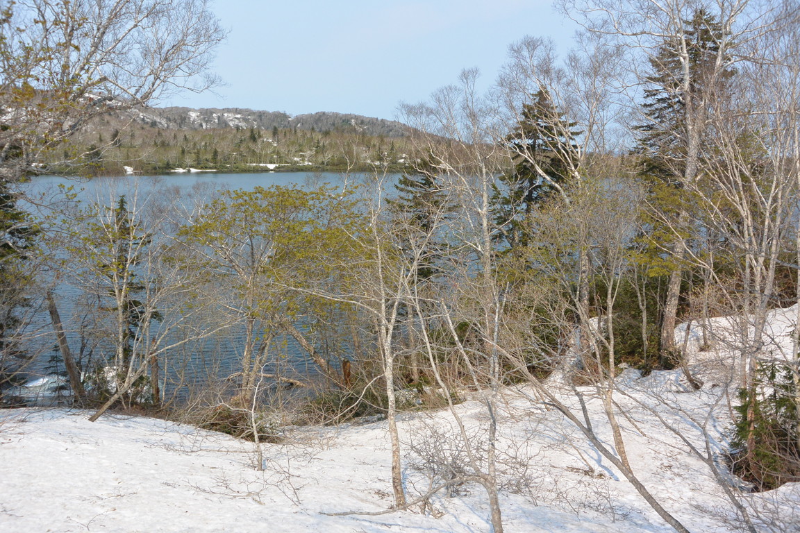 2015年5月『残雪の空沼岳』 May 2015 \"Soranuma-take in the snow and flowers\"_c0219616_2135859.jpg