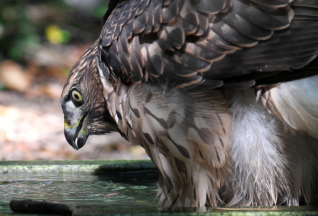 b0179023_201287.jpg