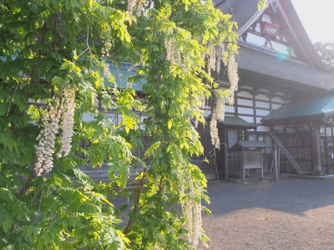 b0147224_21491189.jpg