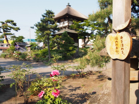 b0147224_21575318.jpg