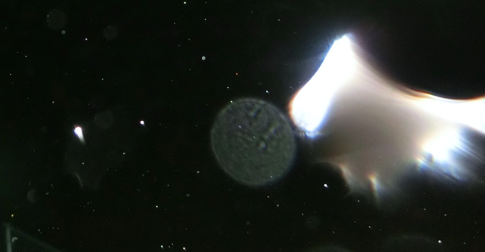 c0331825_14501482.jpg