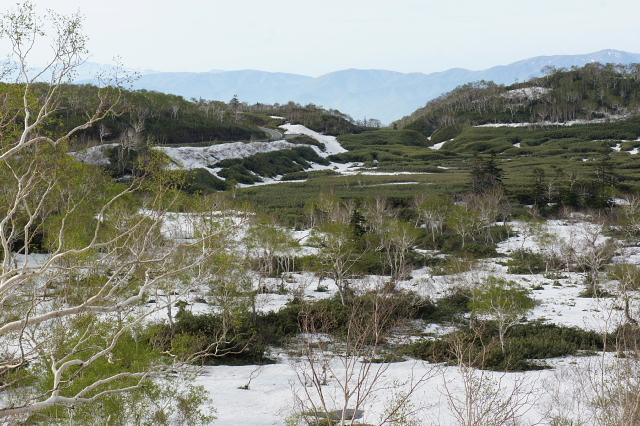 北の大地　2日目　（土曜日）_a0222229_0191622.jpg