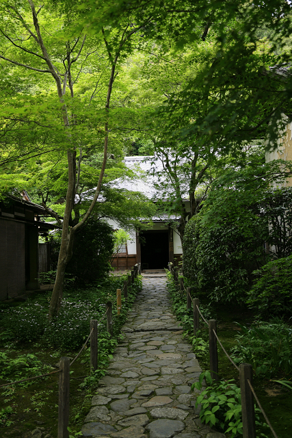 初夏の八瀬から岩倉へ －蓮華寺（前編）－_b0169330_1561913.jpg