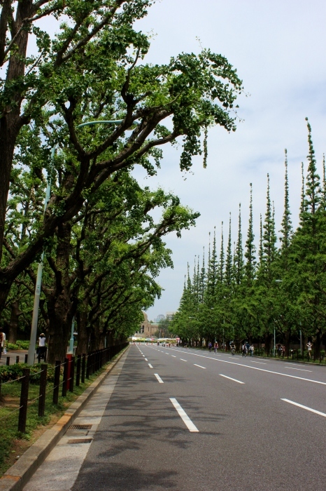a0230831_17390295.jpg