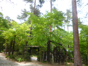 c0343936_2251542.jpg
