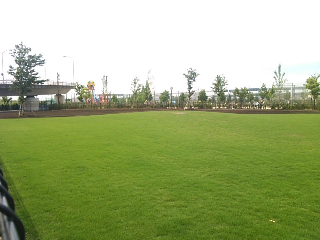 d0268536_7445825.jpg