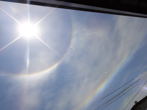 a0056140_22384383.gif