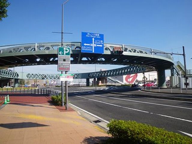 e0098241_1555130.jpg