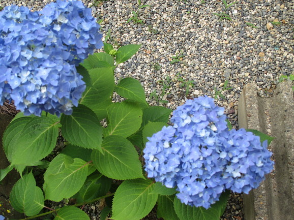 a0307846_09075938.jpg