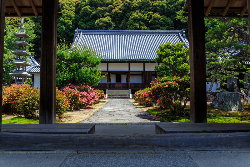サツキ咲く興聖寺（宇治）_f0155048_22125816.jpg