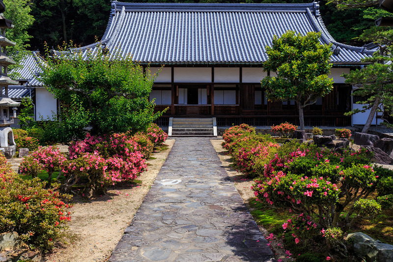 サツキ咲く興聖寺（宇治）_f0155048_22142611.jpg