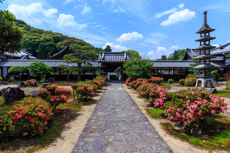 サツキ咲く興聖寺（宇治）_f0155048_22144851.jpg