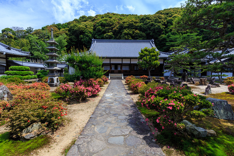 サツキ咲く興聖寺（宇治）_f0155048_2214656.jpg