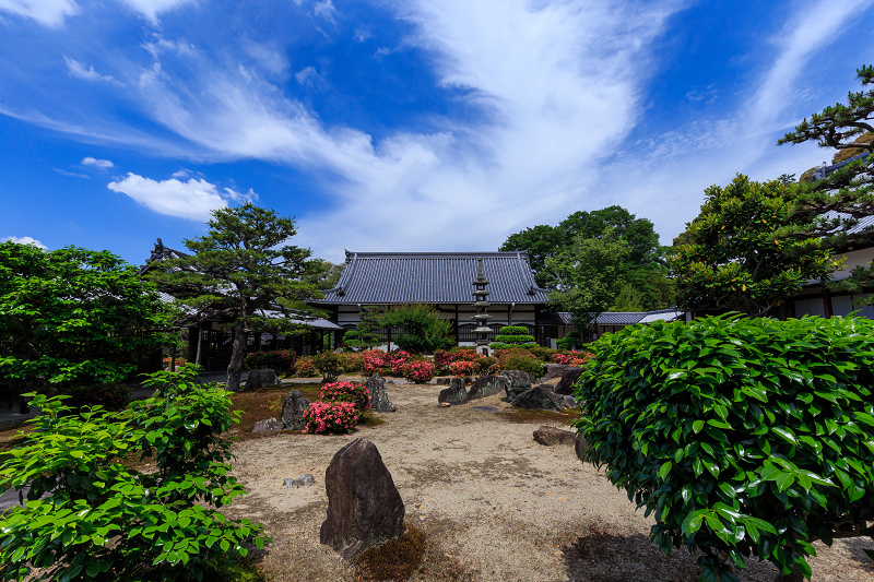 サツキ咲く興聖寺（宇治）_f0155048_2215695.jpg