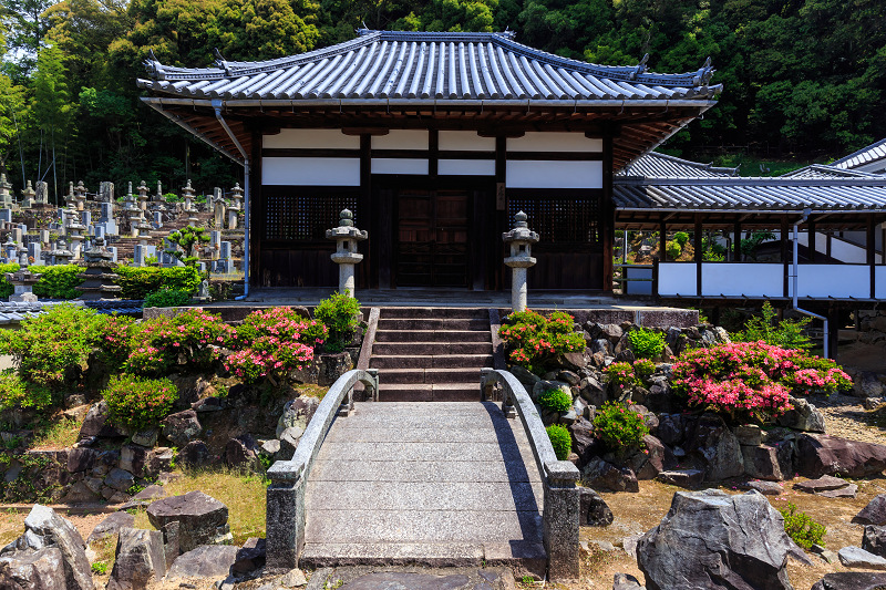 サツキ咲く興聖寺（宇治）_f0155048_2220762.jpg