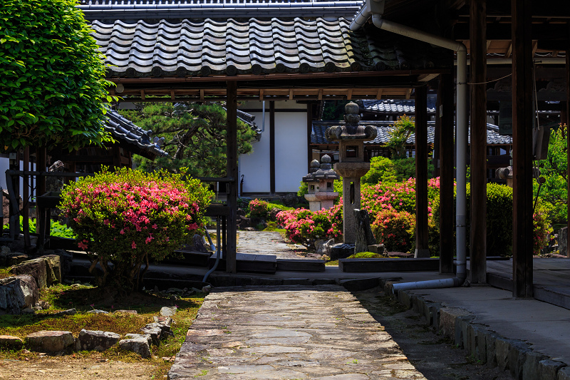 サツキ咲く興聖寺（宇治）_f0155048_22222097.jpg