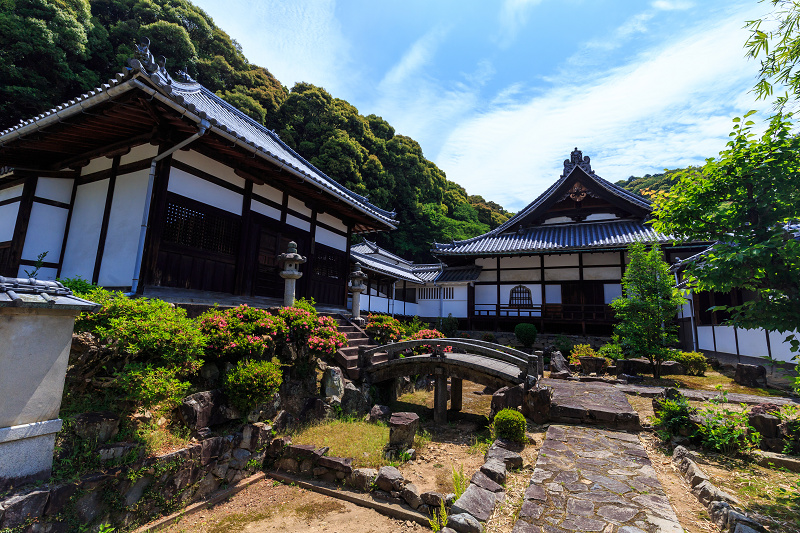 サツキ咲く興聖寺（宇治）_f0155048_2222211.jpg