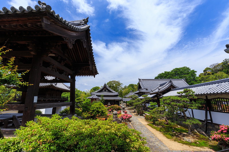 サツキ咲く興聖寺（宇治）_f0155048_2222583.jpg