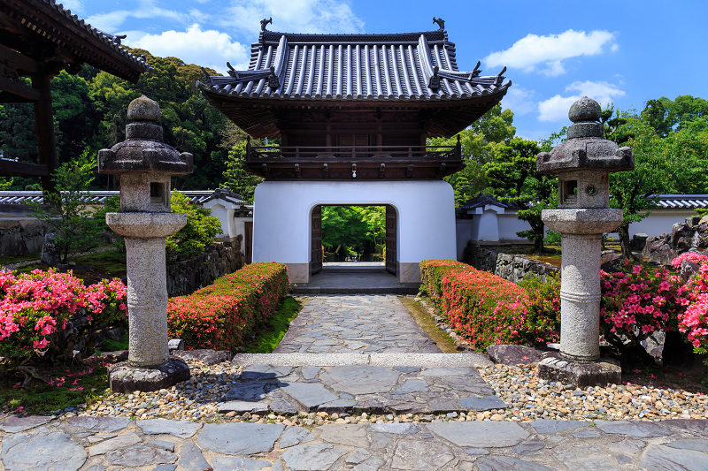 サツキ咲く興聖寺（宇治）_f0155048_22251188.jpg
