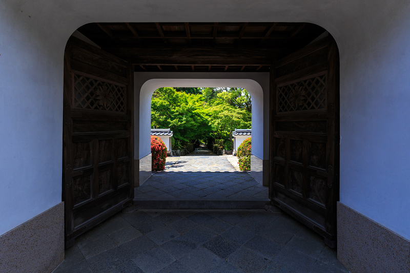 サツキ咲く興聖寺（宇治）_f0155048_22252059.jpg