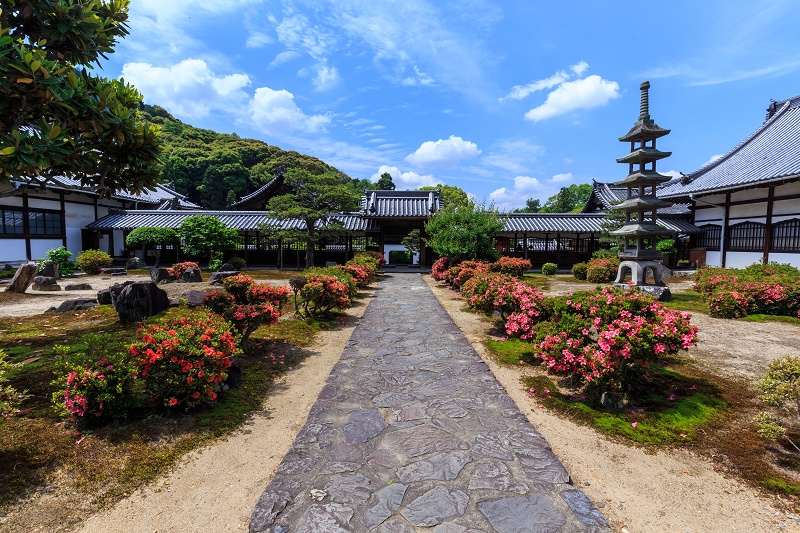 サツキ咲く興聖寺（宇治）_f0155048_2275838.jpg