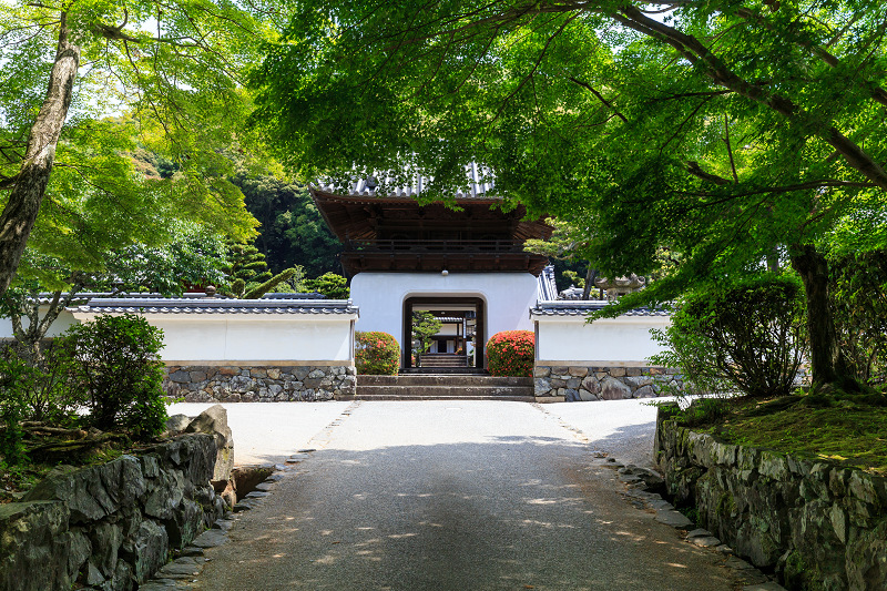サツキ咲く興聖寺（宇治）_f0155048_2281045.jpg