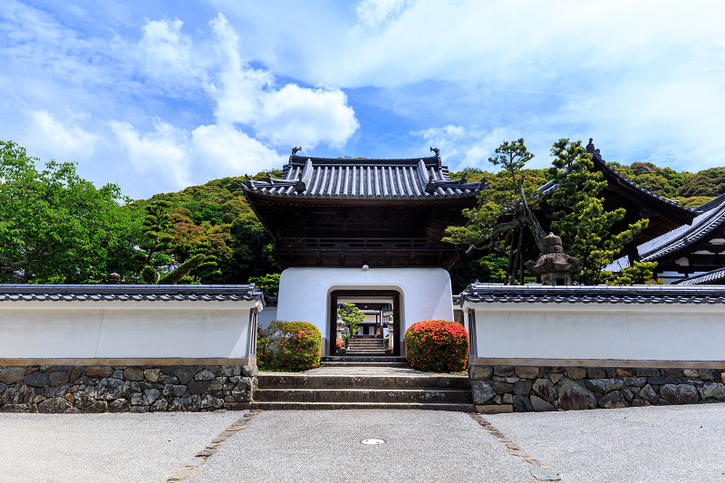 サツキ咲く興聖寺（宇治）_f0155048_2283881.jpg