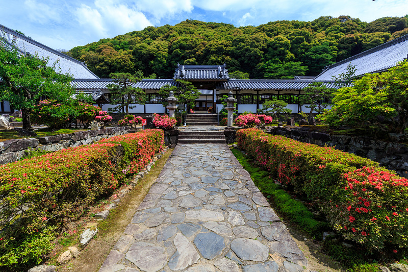 サツキ咲く興聖寺（宇治）_f0155048_229417.jpg