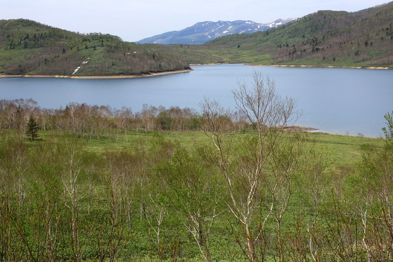 b0325549_19031234.jpg