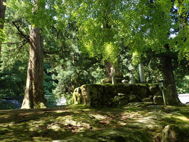 f0214649_42522.jpg