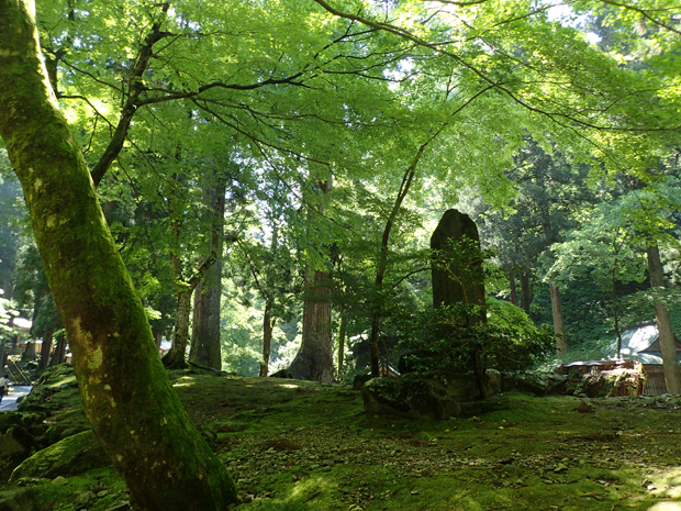 茶道部OB会in金沢①＊永平寺＊_f0214649_43869.jpg