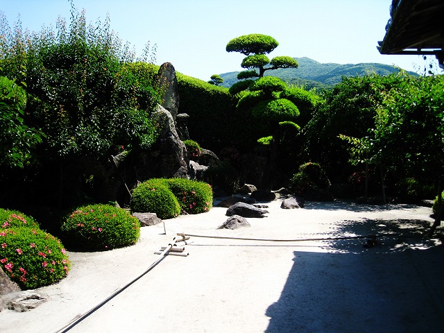 d0048350_20383647.jpg