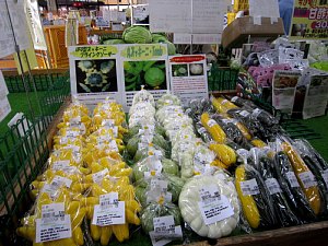 初夏の野菜登場_c0141652_992874.jpg