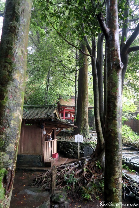 日向神話を巡る旅　霧島東神社編　その２。_f0351853_22041195.jpg