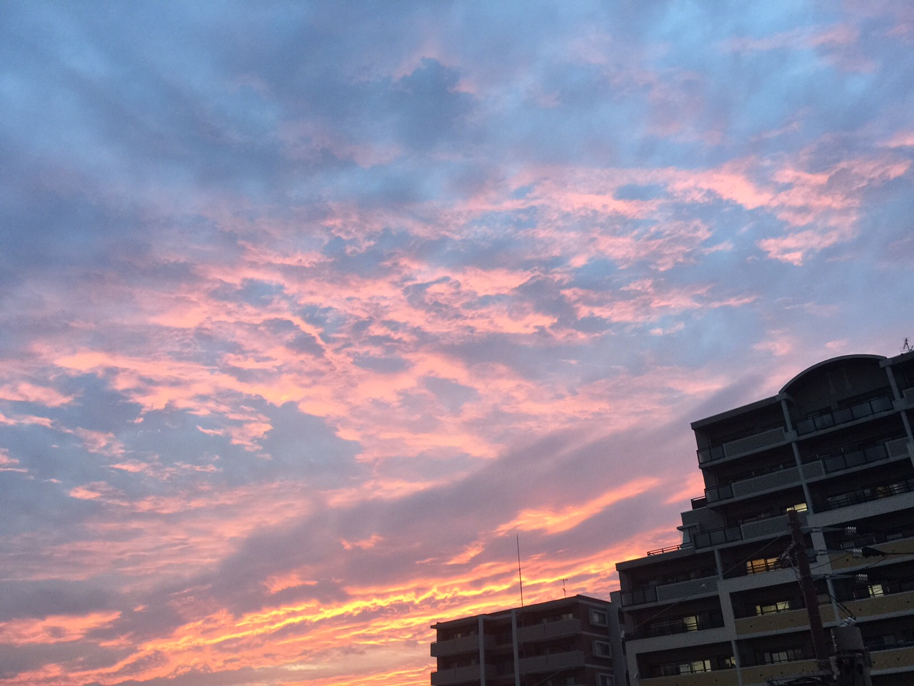 何かが起こった 2015.5.23_b0002156_10142445.jpg